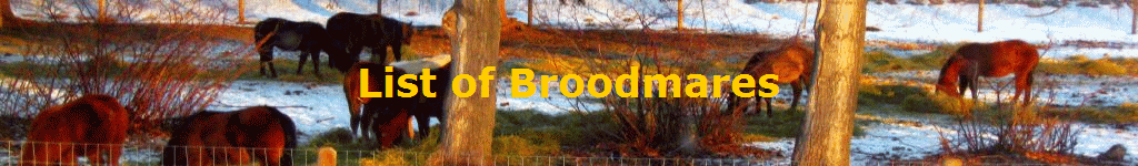 List of Broodmares
