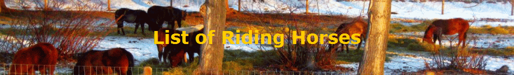 List of Riding Horses