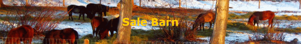 Sale Barn
